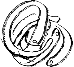 Bucatini