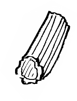Rigatoni